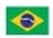 Brazil Flag